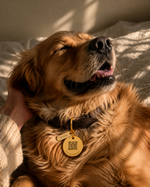 Load image into Gallery viewer, Wren Collar Tag