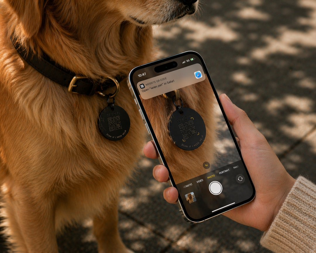 Wren Collar Tag